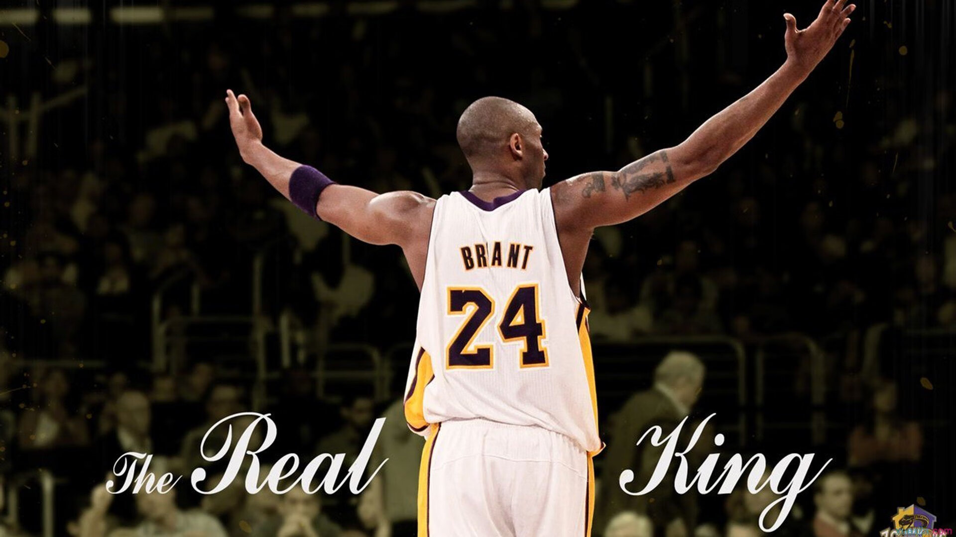 新闻中心发布财务业绩报告，新闻中心发布财务业绩报告怎么写