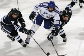 老将经验在关键比赛中发挥作用稳定全队心态