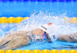 世界杯历史上的传奇球员，世界杯历代记