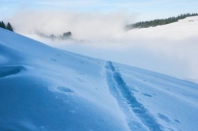 冰雪赛事：滑雪分站赛提前开启冬季赛季热身，滑雪比赛赛道